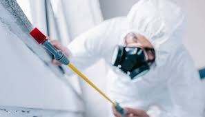 Best Pest Exclusion Services  in Point, TX